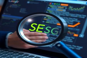 湛江SEO案例分析：揭秘成功网站背后的优化策略与技巧。